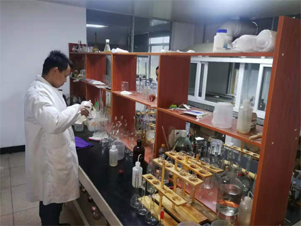 中环新材料专家组实验室